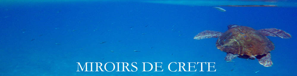00_titre_Miroirs_1000_258_72