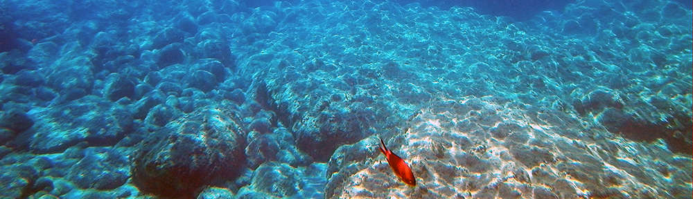 stramatakis