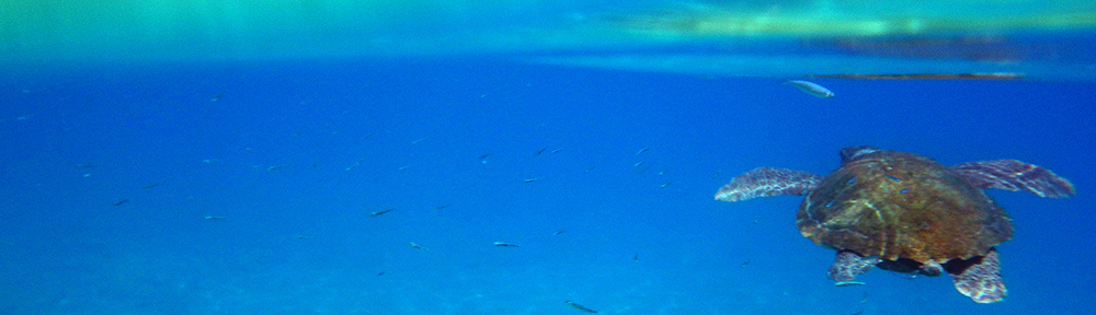 stramatakis